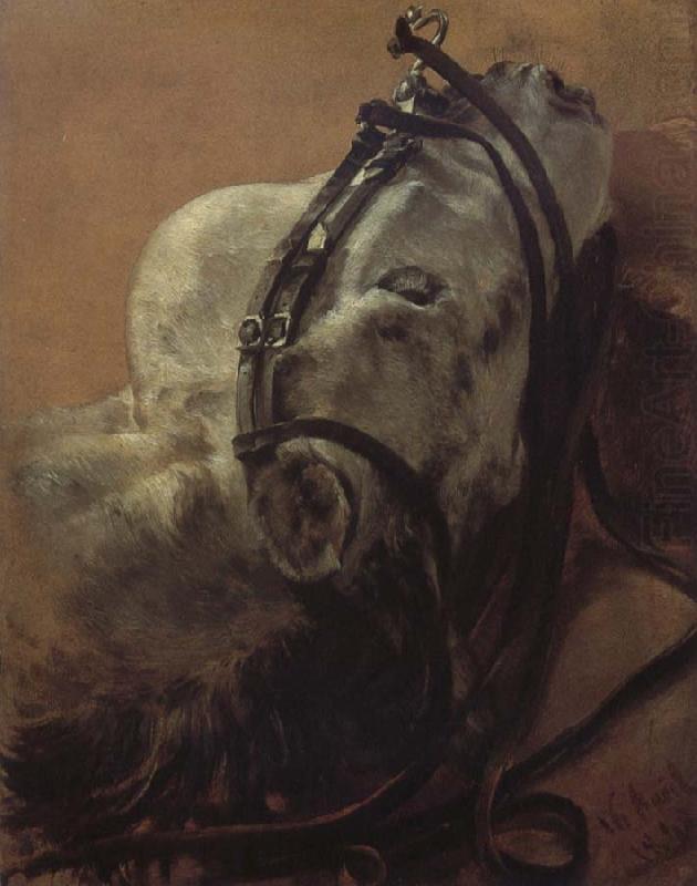 Adolph von Menzel Euine Study,Recumbent Head in Harness oil painting picture